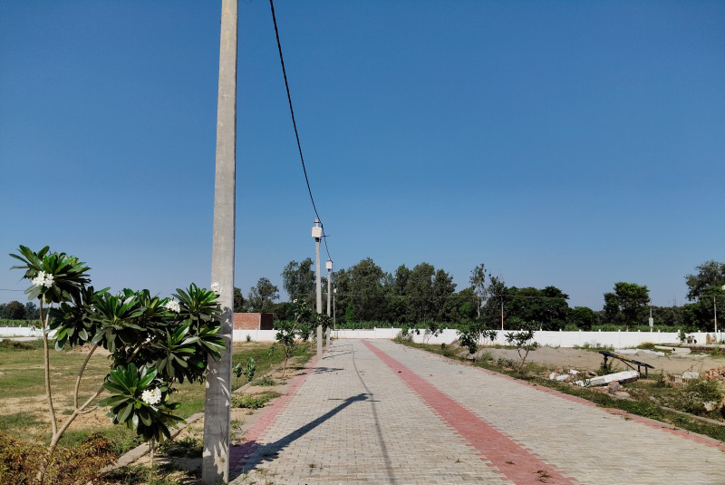  Residential Plot 70 Sq. Yards for Sale in Kandhla, Shamli