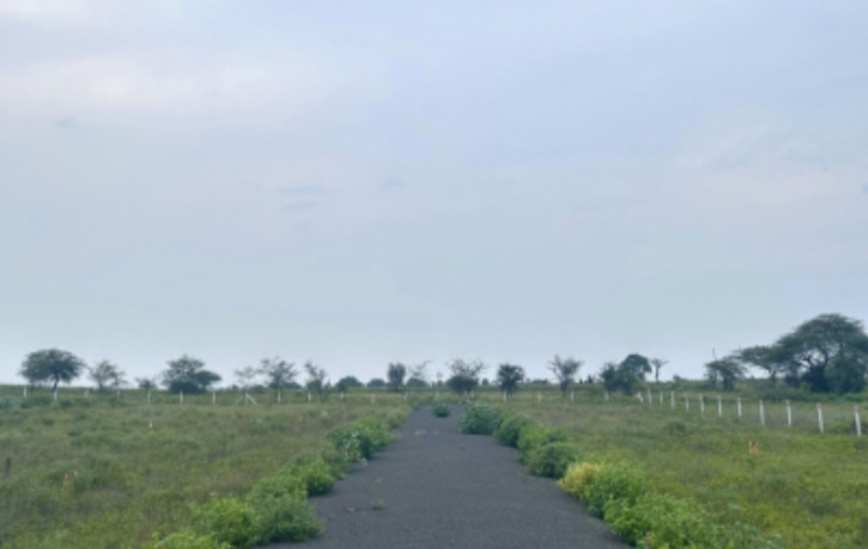  Residential Plot 40 Acre for Sale in Karegaon, Pune