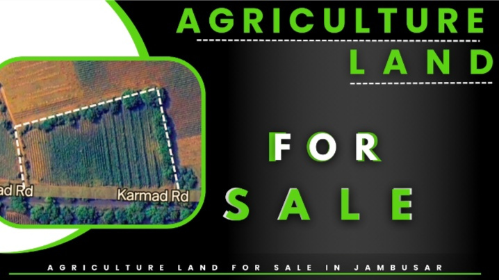  Agricultural Land 121796 Sq.ft. for Sale in Jambusar, Bharuch