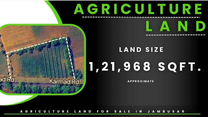  Agricultural Land 121796 Sq.ft. for Sale in Jambusar, Bharuch