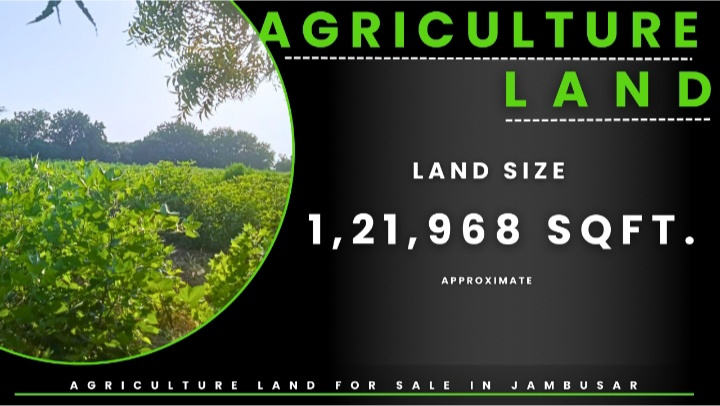  Agricultural Land 121796 Sq.ft. for Sale in Jambusar, Bharuch