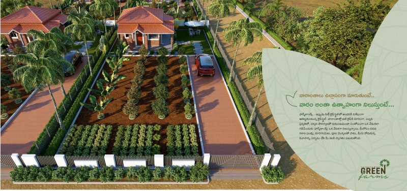  Residential Plot 13 Cent for Sale in Salkapuram, Kurnool