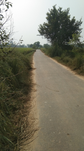  Agricultural Land 71687 Sq.ft. for Sale in Ratanpura, Mau (Maunath Bhanjan)