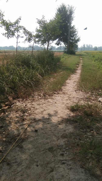  Agricultural Land 71687 Sq.ft. for Sale in Ratanpura, Mau (Maunath Bhanjan)