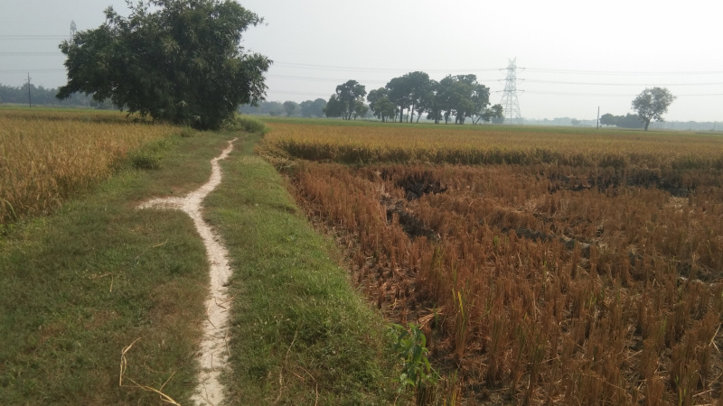  Agricultural Land 71687 Sq.ft. for Sale in Ratanpura, Mau (Maunath Bhanjan)