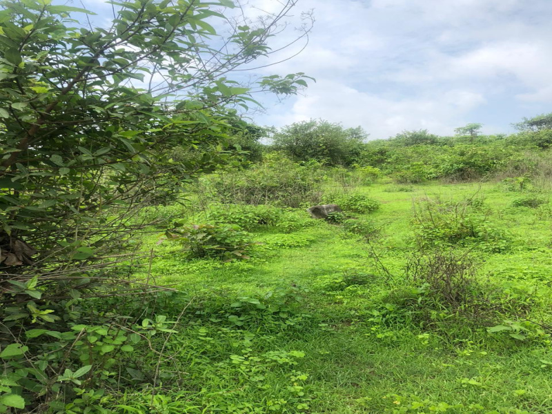  Agricultural Land 200 Guntha for Sale in Wada, Palghar