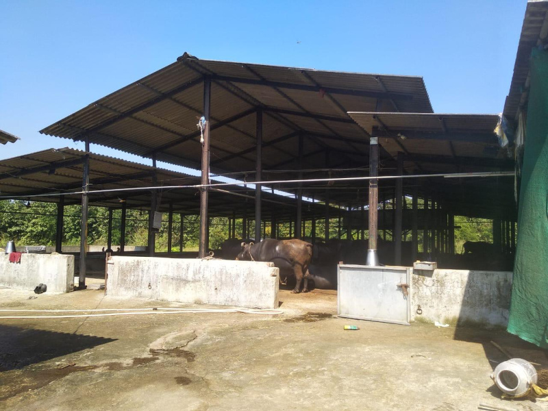  Agricultural Land 200 Guntha for Sale in Wada, Palghar