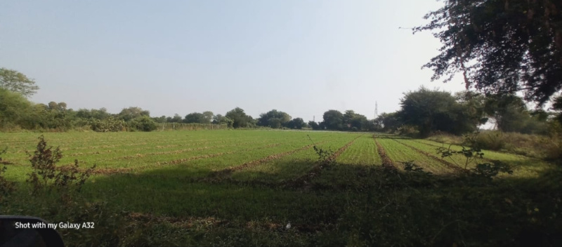  Agricultural Land 70785 Sq.ft. for Sale in Godhra, Panchmahal