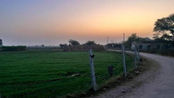  Agricultural Land 70785 Sq.ft. for Sale in Godhra, Panchmahal