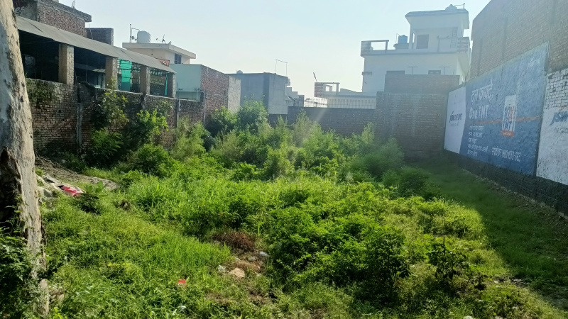  Commercial Land 5500 Sq.ft. for Sale in Mehta Road, Amritsar