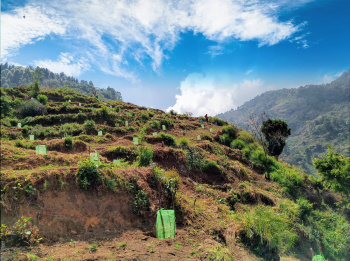  Residential Plot for Sale in Poolathur, Kodaikanal