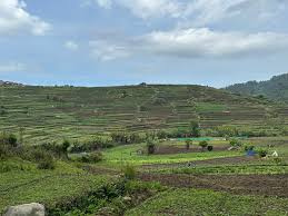  Residential Plot 600 Sq.ft. for Sale in Vilpatti, Kodaikanal