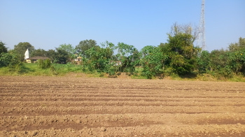  Agricultural Land for Sale in Dariyapur, Burhanpur