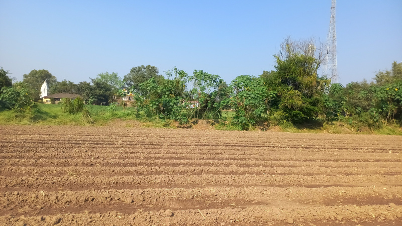  Agricultural Land 43560 Sq.ft. for Sale in Dariyapur, Burhanpur