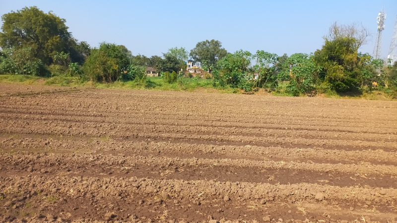  Agricultural Land 43560 Sq.ft. for Sale in Dariyapur, Burhanpur