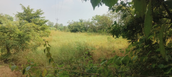  Agricultural Land for Sale in Wai, Satara