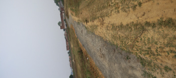  Residential Plot for Sale in Pachamba, Giridih