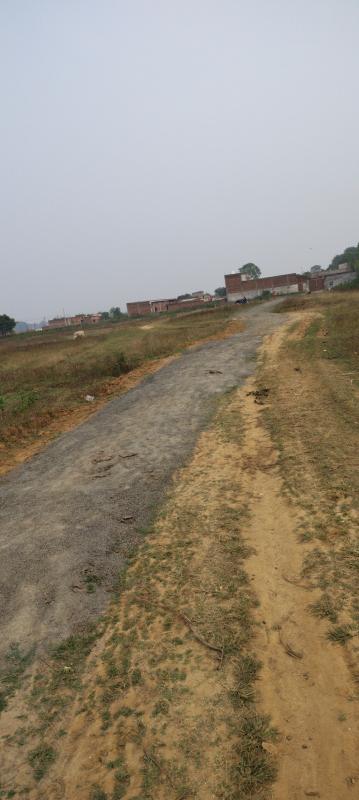  Residential Plot 4 Dismil for Sale in Pachamba, Giridih