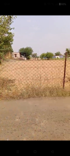  Agricultural Land 7 Bigha for Sale in Neem Ka Thana, Sikar
