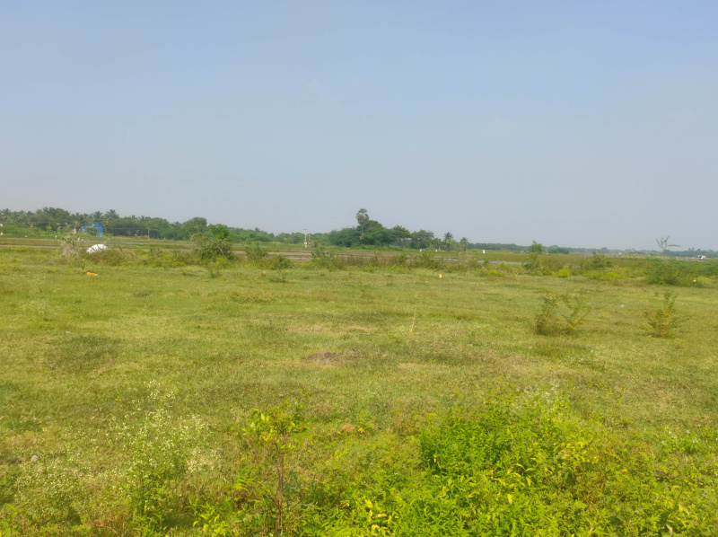  Residential Plot 2400 Sq.ft. for Sale in Vikravandi, Villupuram