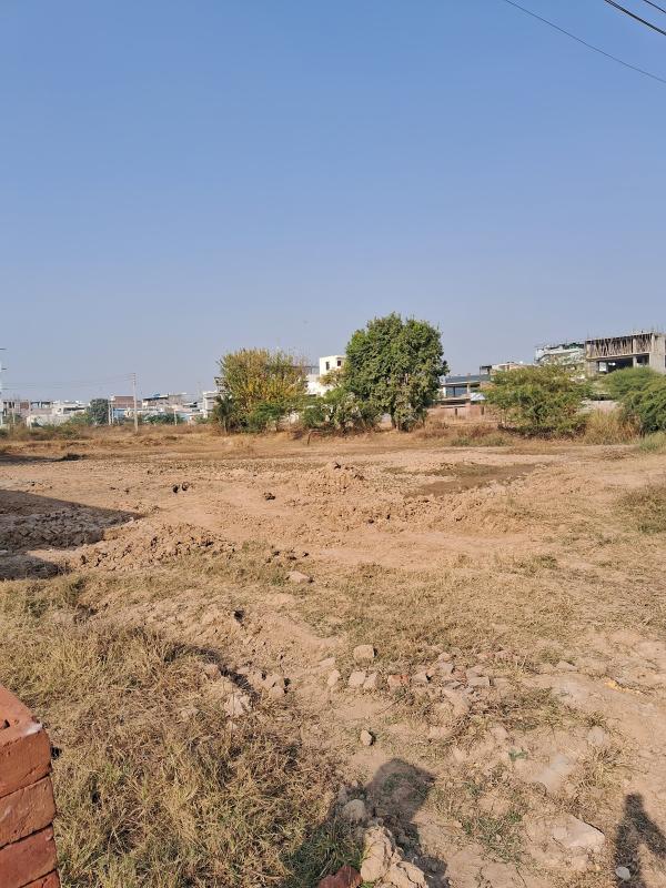  Industrial Land 555 Sq. Yards for Sale in Sector 82 Mohali