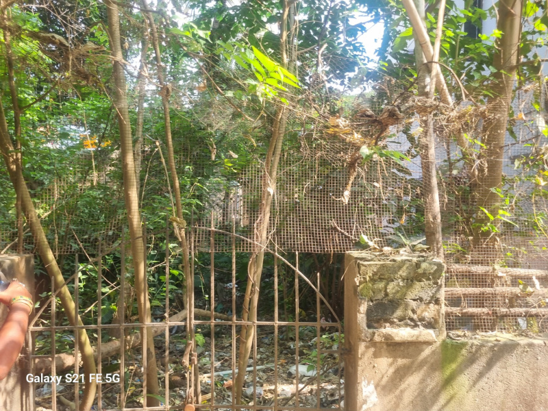  Residential Plot 1700 Sq.ft. for Sale in Nabagram Colony, Hooghly