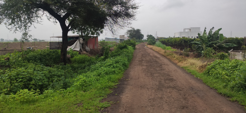  Agricultural Land 4 Acre for Sale in Pimpalgaon Baswant, Nashik