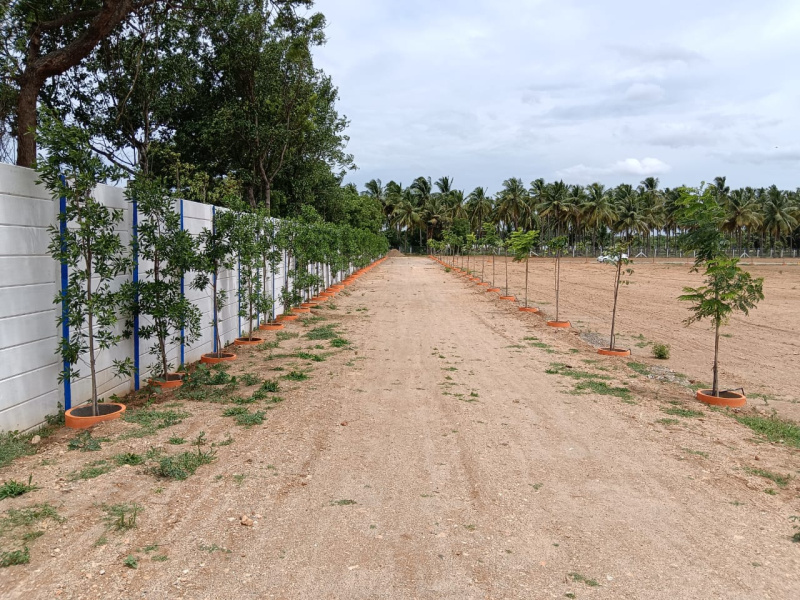  Agricultural Land 4026 Sq.ft. for Sale in Kovilpalayam, Coimbatore