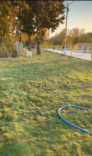  100 Sq. Yards Residential Plot for Sale in Pondha, Dehradun