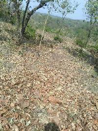  Agricultural Land for Sale in Dholwaha Village, Hoshiarpur, Hoshiarpur