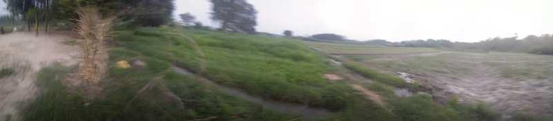  Agricultural Land for Sale in Garhshanker, Hoshiarpur