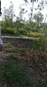  Agricultural Land for Sale in Bassi Gulam Hussain, Hoshiarpur