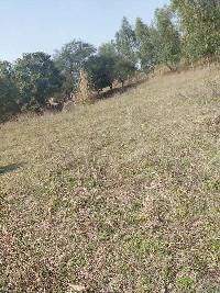  Agricultural Land for Sale in 56 acre, Hoshiarpur, Hoshiarpur