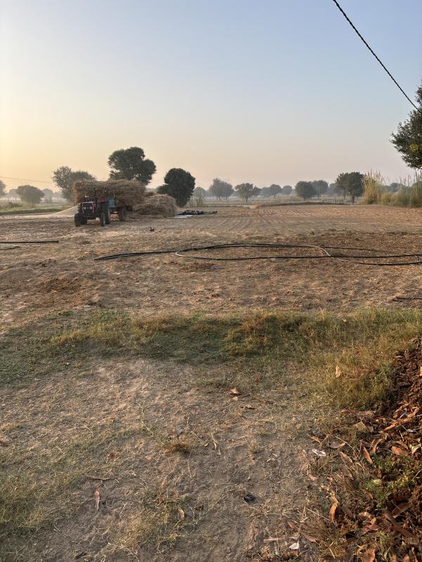  Agricultural Land 8 Bigha for Rent in Jagatpura, Jaipur