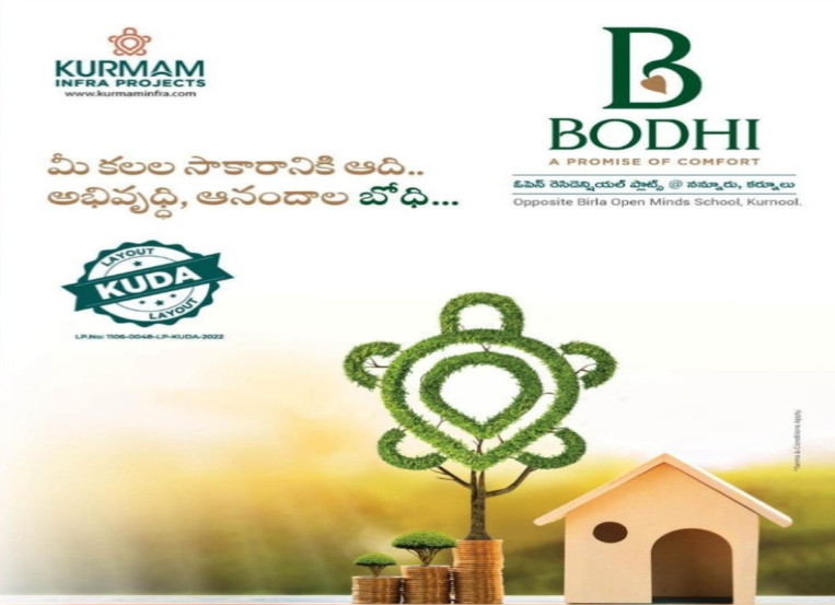  Residential Plot 600000 Cent for Sale in Nannur, Kurnool