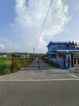  Residential Plot for Sale in Bhauwala, Dehradun