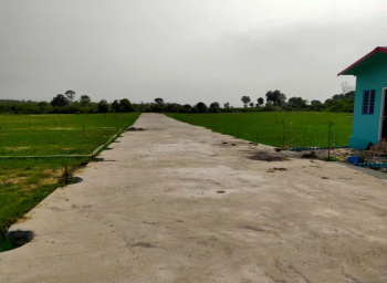  Residential Plot for Sale in Bhauwala, Dehradun