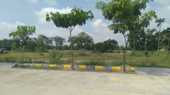  Residential Plot for Sale in Rapthadu, Anantapur