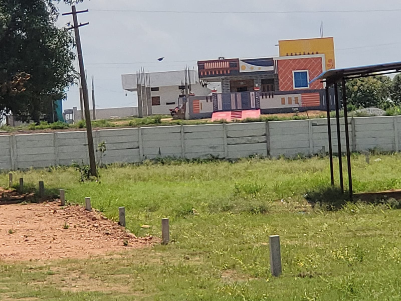  Residential Plot 165 Sq.ft. for Sale in Shadnagar, Hyderabad