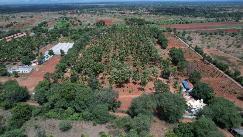  Agricultural Land 6534 Sq.ft. for Sale in Gauribidanur, Bangalore