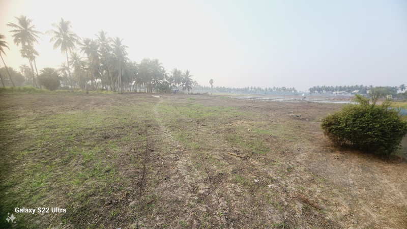  Residential Plot 43560 Sq.ft. for Sale in Veeravasaram, West Godavari