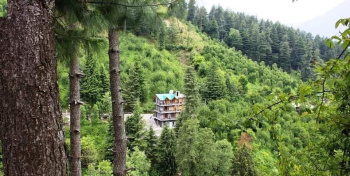 1 BHK Studio Apartment for Rent in Naggar Road, Manali