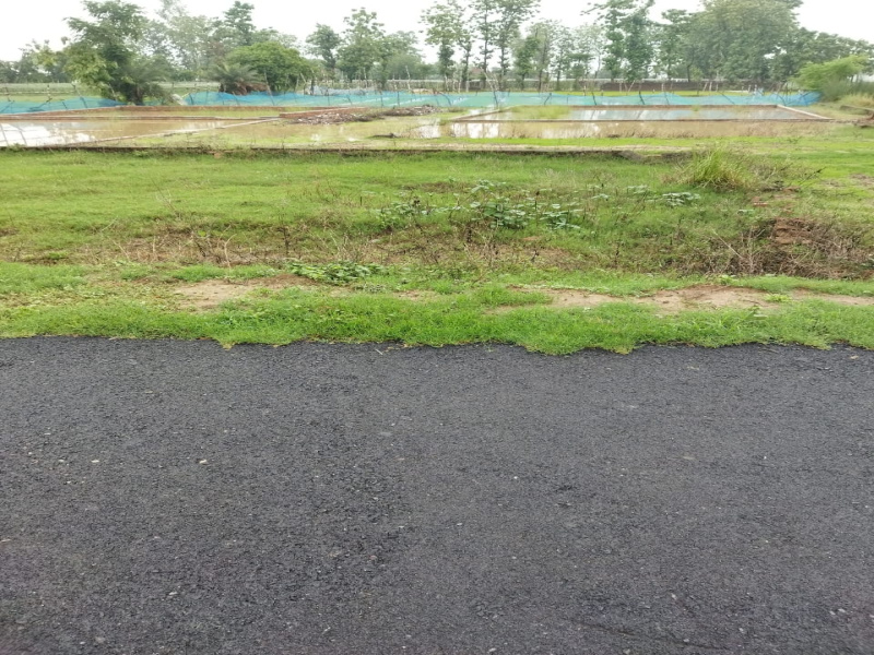  Residential Plot 1600 Sq.ft. for Sale in Chilmapur, Gorakhpur