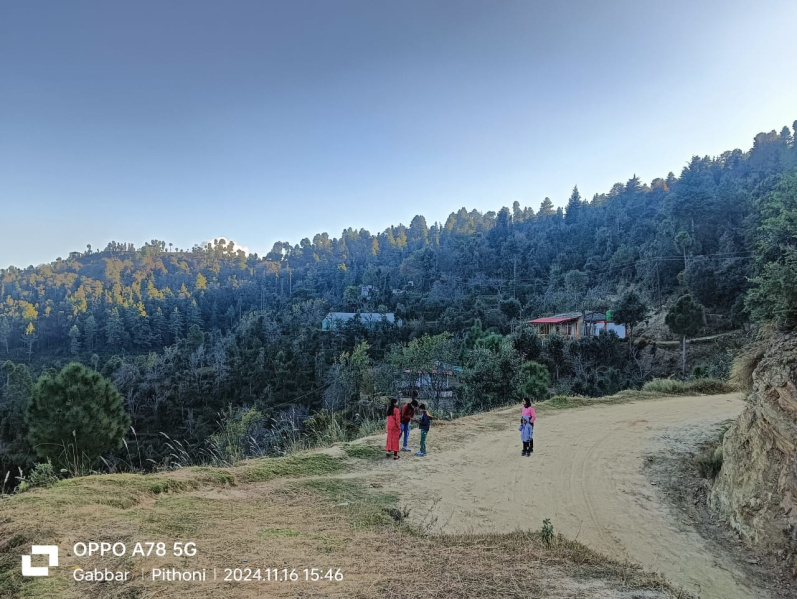  Residential Plot 2700 Sq.ft. for Sale in Lamgara, Almora