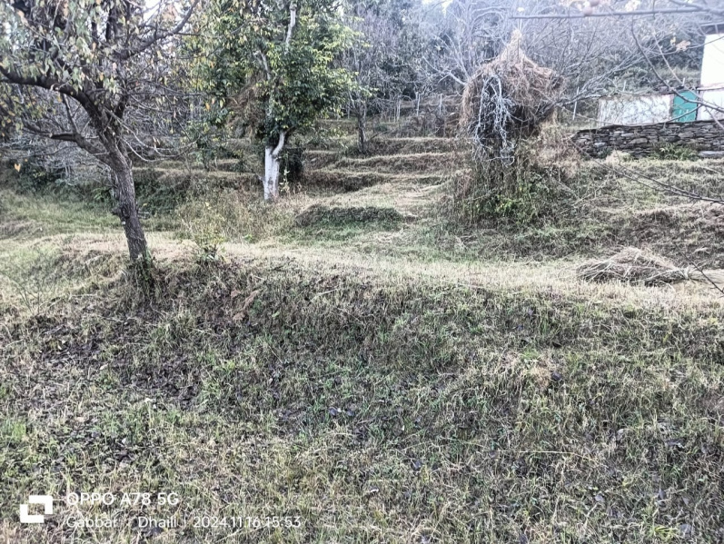  Residential Plot 2700 Sq.ft. for Sale in Lamgara, Almora