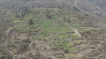  Agricultural Land for Rent in Barkot, Uttarkashi