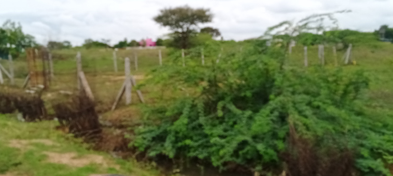  Residential Plot 2400 Sq.ft. for Sale in Panjapur, Tiruchirappalli