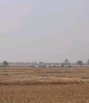  Agricultural Land for Sale in Abhanpur, Raipur