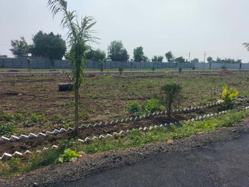  Residential Plot 2000 Sq.ft. for Sale in Borkhedi, Nagpur