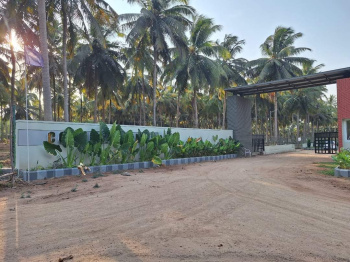  Agricultural Land for Sale in Othakalmandapam, Coimbatore